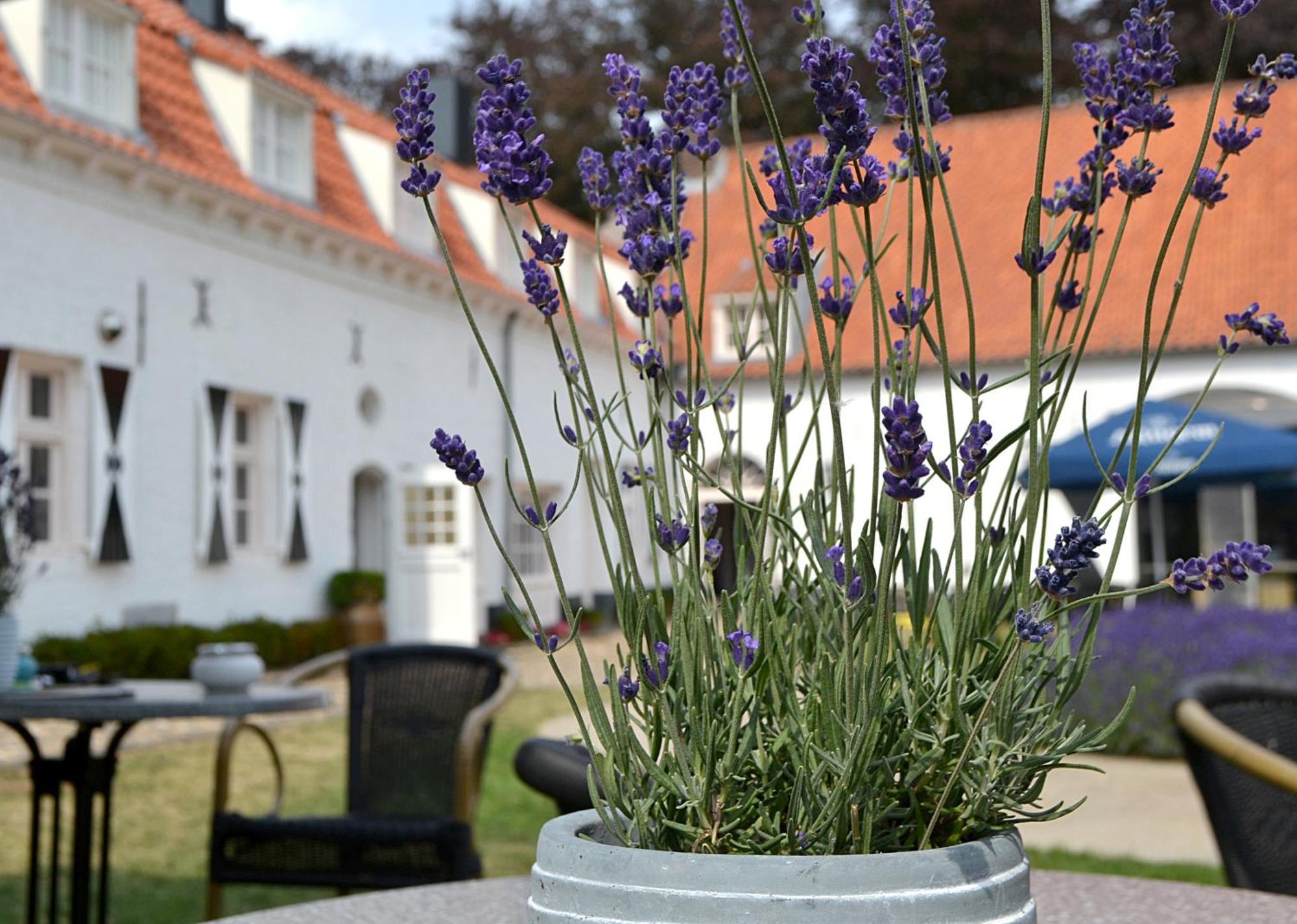 Kasteel Aldenghoor Bed & Breakfast Haelen Ngoại thất bức ảnh